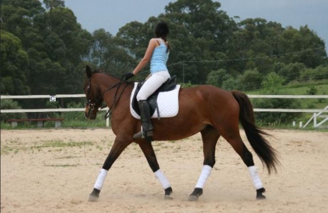 Escuela de Equitación Gallura 